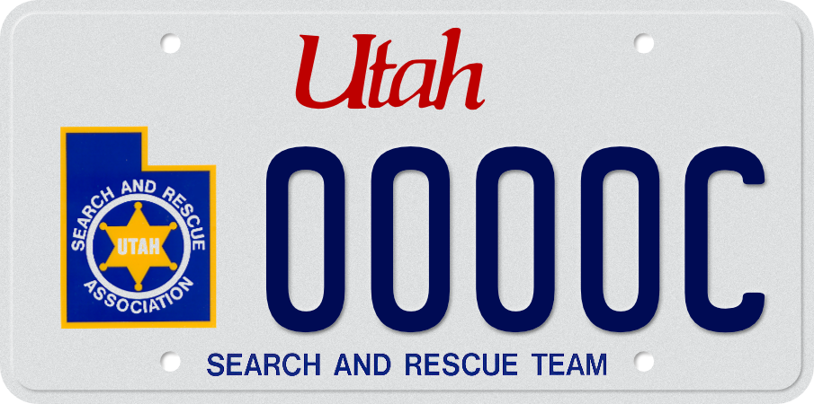 Dmv plate best sale search