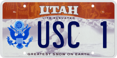 Skier U.S. Congress License Plate