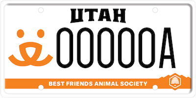 No More Homeless Pets License Plate