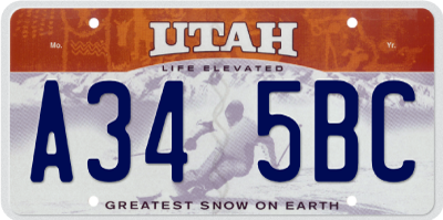 Life Elevated Skier
