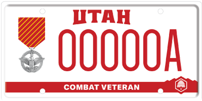 Veteran Combat Theater – Air Force Combat Action Medal