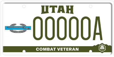 Veteran Combat Theater – Army Combat Infantry Badge