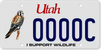Wildlife Kestrel License Plate