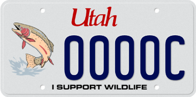 Wildlife – Trout